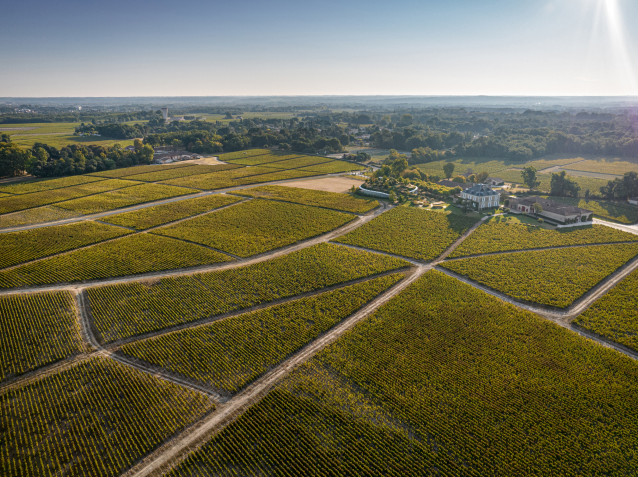 Haut-Bailly_vinyards